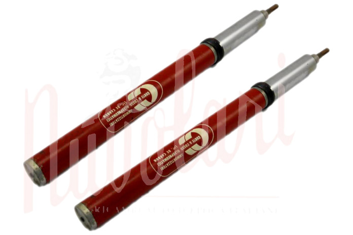 COPPIA CARTUCCE AMMORTIZZATORI ANTERIORI SPECIALI PER FIAT 128 