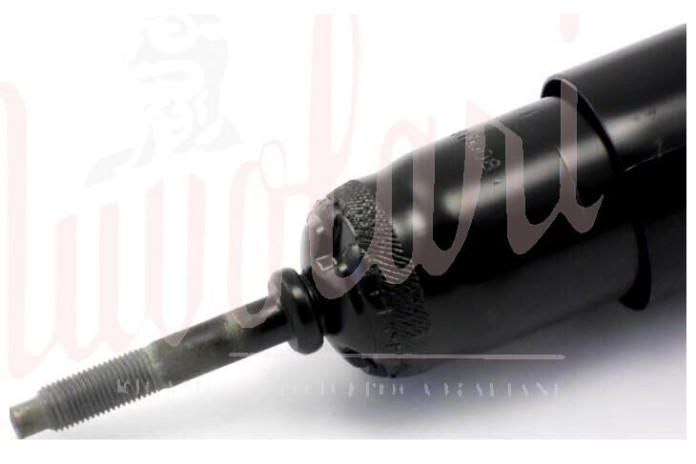 COPPIA AMMORTIZZATORI ANTERIORI PER/PER PER AUTOBIANCHI BIANCHINA CABRIO F 