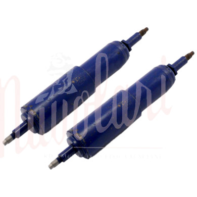 COPPIA AMMORTIZZATORI POSTERIORI P/P PER FIAT 600 D 