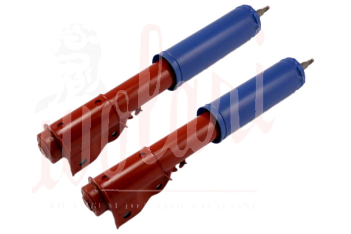 COPPIA AMMORTIZZATORI POSTERIORI MONROE GAS PER FIAT RITMO 75 