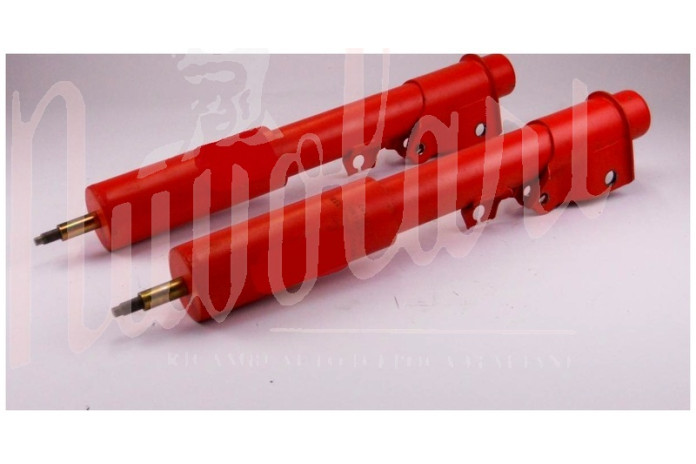 COPPIA AMMORTIZZATORI POSTERIORI FIAT