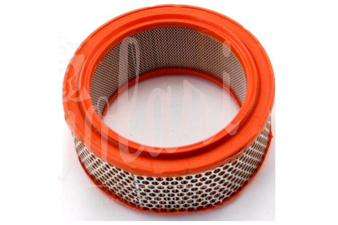 FILTRO ARIA - AIR FILTER