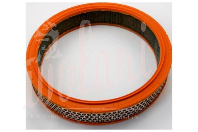 FILTRO ARIA - AIR FILTER