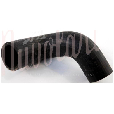 MANICOTTO RADIATORE SUPERIORE