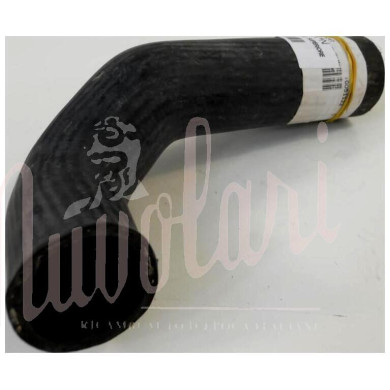 MANICOTTO RADIATORE SUPERIORE