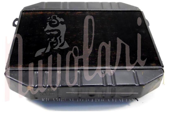 RADIATORE (DAL MOTORE N°1315.00401)