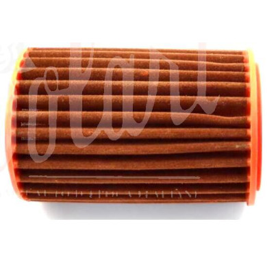 FILTRO ARIA - AIR FILTER