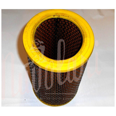 FILTRO ARIA (SCATOLA FISPA)