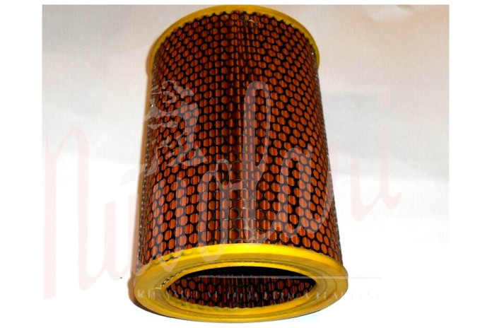 FILTRO ARIA (SCATOLA FISPA)