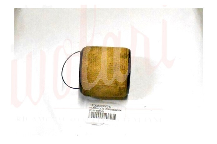 FILTRO OLIO (IMMERSIONEACCESSORIO)