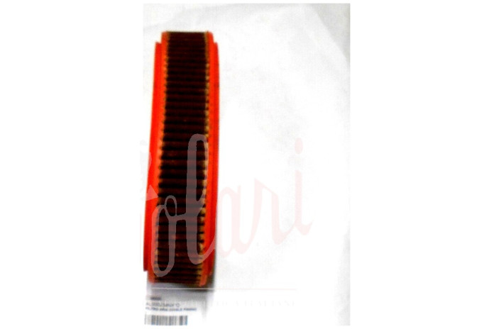 FILTRO ARIA (OVALE PANNO)