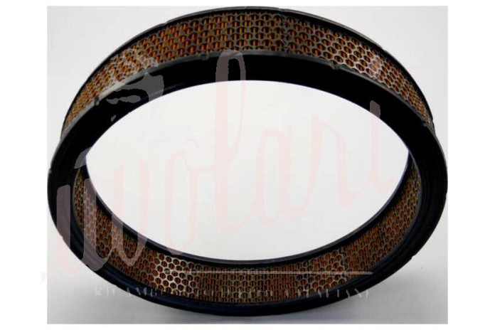 FILTRO ARIA - AIR FILTER