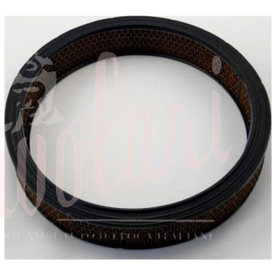 FILTRO ARIA - AIR FILTER