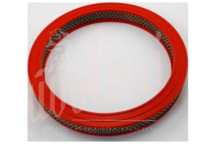 FILTRO ARIA IN CARTA - AIR FILTER