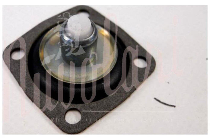 MEMBRANA POMPETTA RIPRESA DCNF 6-22-23