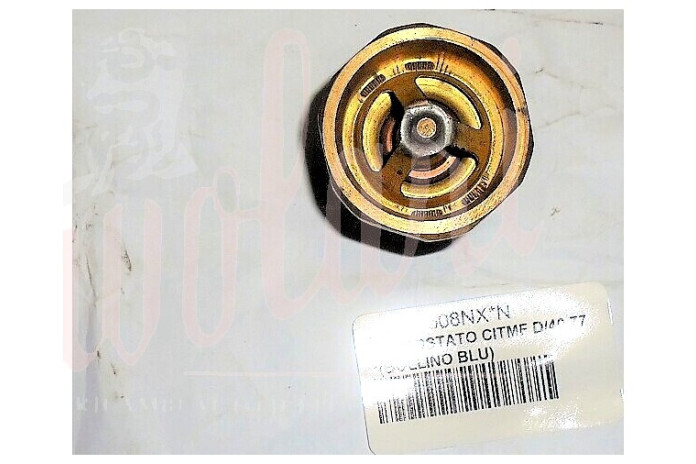 TERMOSTATO CITMF D/40 77°(BOLLINO BLU)