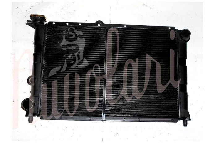 RADIATORE (MASSA RADIANTE LARGA)