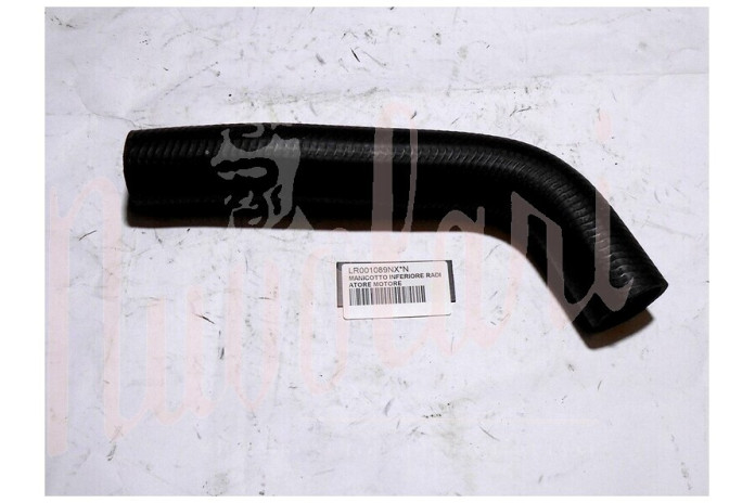 MANICOTTO INFERIORE RADIATORE MOTORE