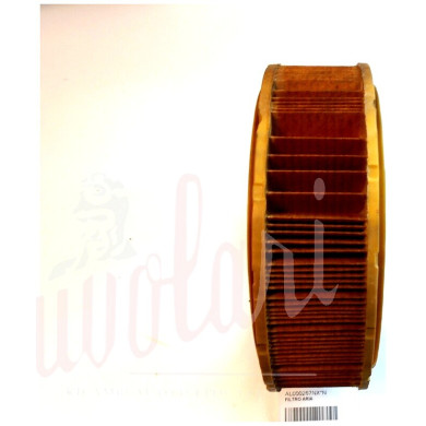 FILTRO ARIA (ROTONDO)