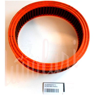 FILTRO ARIA (PANNO)