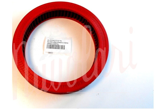 FILTRO ARIA (PANNO PER DOPPIO CORPO)