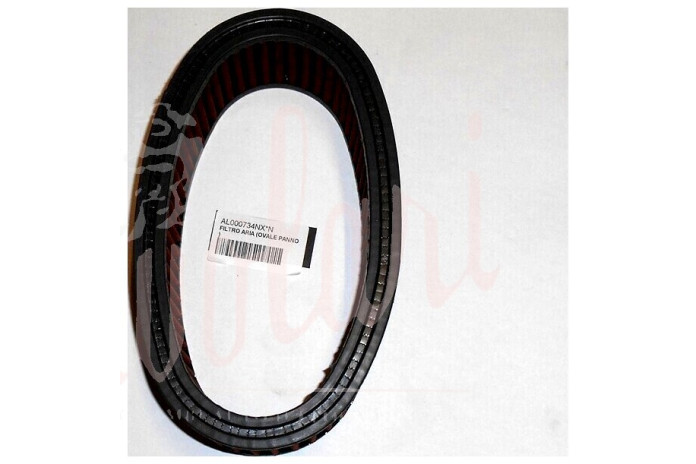 FILTRO ARIA (OVALE PANNO)