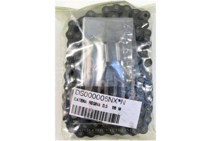 CATENA REGINA D.5  116 M