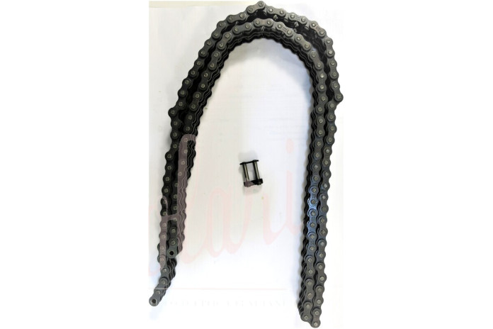 CATENA REGINA D.5  116 M