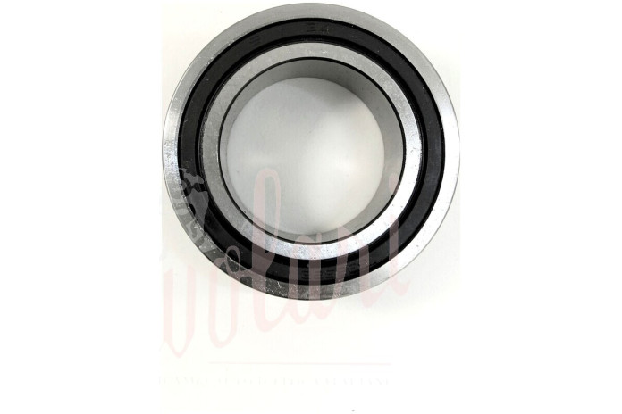 CUSCINETTO TENDICINGHIA