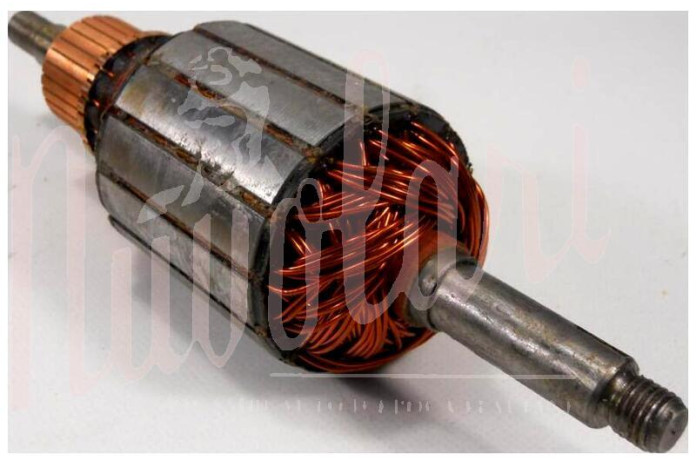 INDOTTO DINAMO M.MARELLI 250/12 VOLT