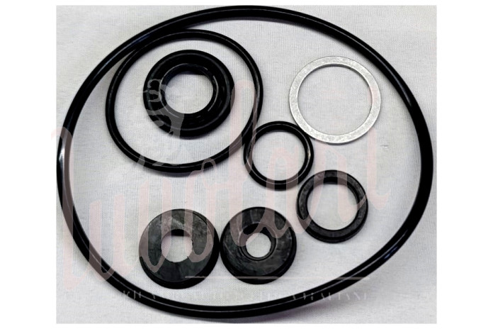 SERIE GOMMINI POMPA D.21