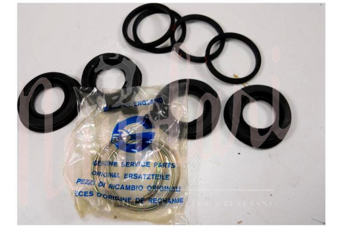 SERIE GOMMINI PINZE POSTERIORI