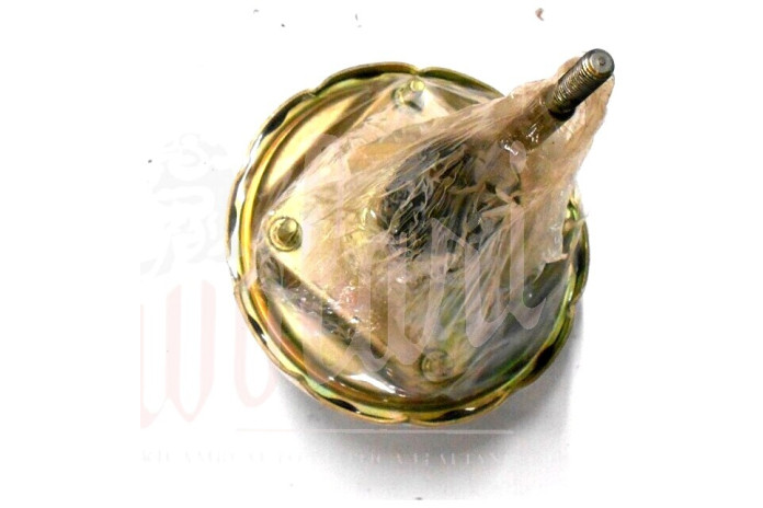 SERVOFRENO BONALDI REVISIONATO (RENDERE IL VECCHIO)