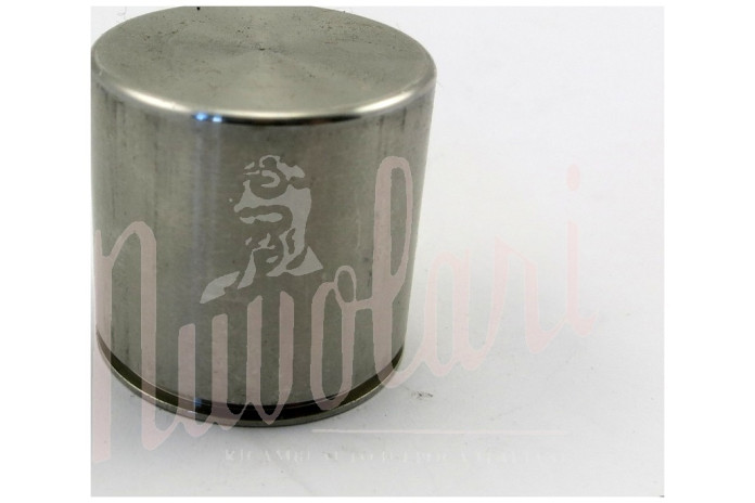 PISTONCINO FRENI PINZA POSTERIORE GIRLING D/30