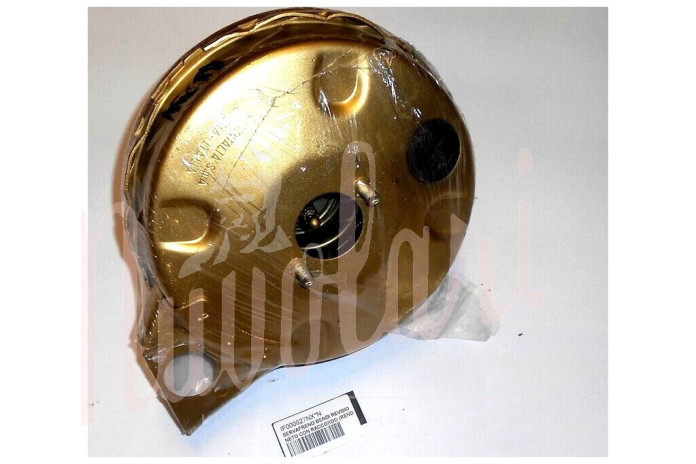 SERVOFRENO BENDITALIA REVISIONATO (RENDERE IL VECCHIO)