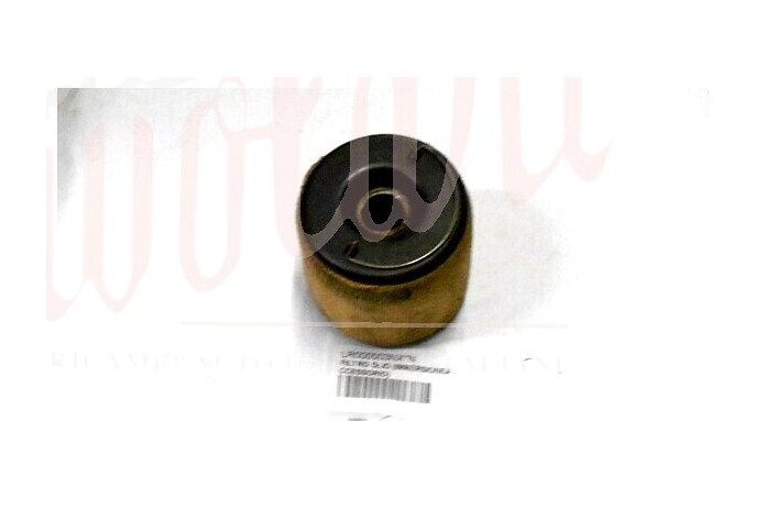 FILTRO OLIO (IMMERSIONEACCESSORIO)