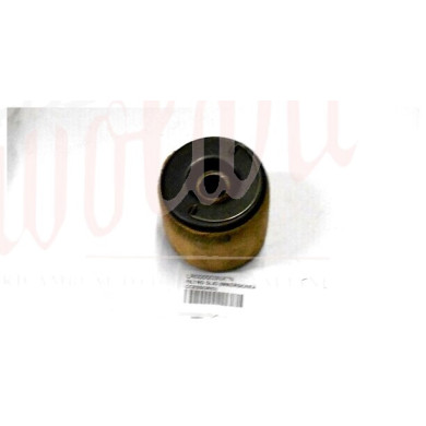 FILTRO OLIO (IMMERSIONEACCESSORIO)