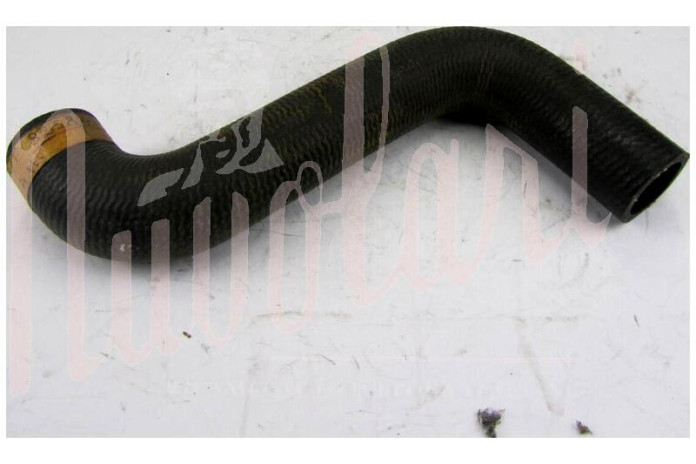 MANICOTTO SUPERIORE RADIATORE MOTORE