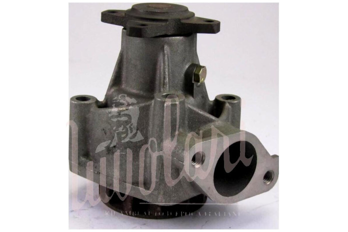 POMPA ACQUA BASSA NO TAPPO CON TACCA