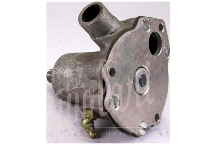 POMPA ACQUA REVISIONATA