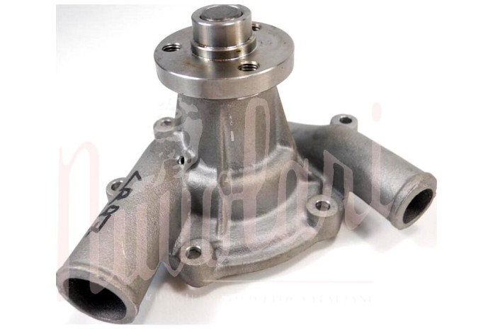 POMPA ACQUA CON MOZZETTO