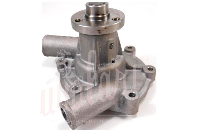 POMPA ACQUA CON MOZZETTO