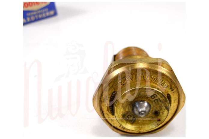 TERMOSTATO WAHLER D/36 80°