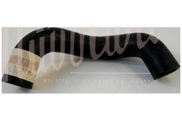 MANICOTTO INFERIORE RADIATORE MOTORE