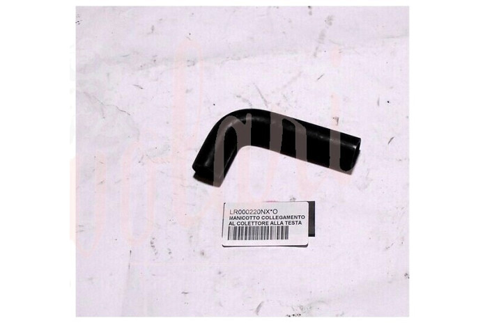 MANICOTTO COLLEGAMENTO DAL COLETTORE ALLA TESTA (PIPPA 14X125)