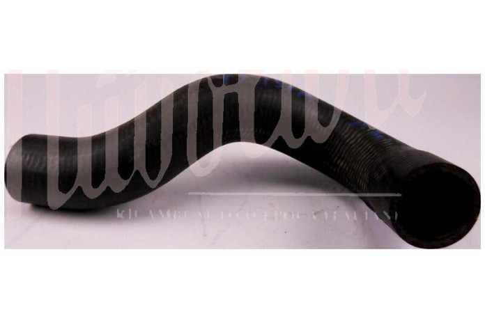 MANICOTTO COLL SUPERIORE DAL BOCHETTONE TESTATA ALL TERMOSTATO