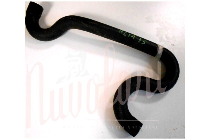 MANICOTTO SUPERIORE RADIATORE MOTORE