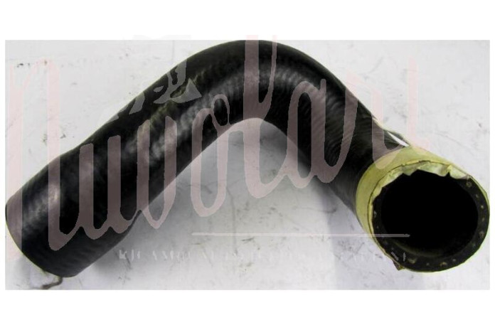 MANICOTTO INFERIORE RADIATORE MOTORE