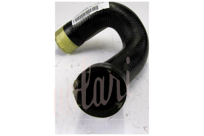 MANICOTTO INFERIORE RADIATORE MOTORE