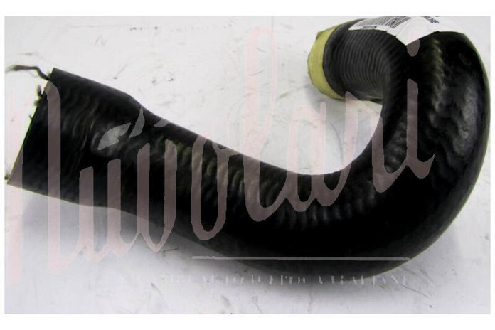 MANICOTTO INFERIORE RADIATORE MOTORE